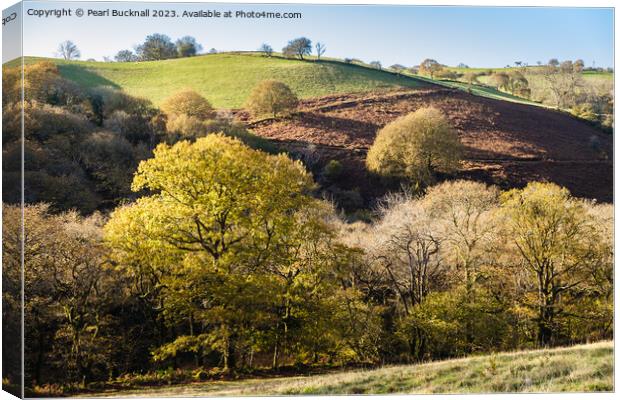 Welsh Countryside with Trees  Canvas Print by Pearl Bucknall