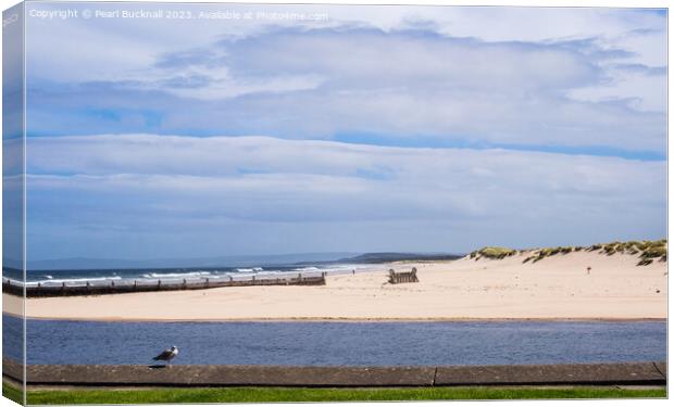 Lossiemouth East Beach Moray Firth Canvas Print by Pearl Bucknall