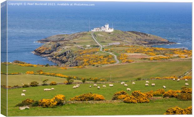 View to Point Lynas Anglesey Coast Canvas Print by Pearl Bucknall
