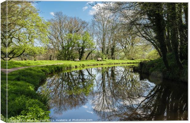 Serene Scene on Monmouthshire and Brecon Canal Canvas Print by Pearl Bucknall