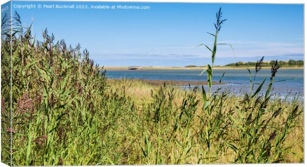 Traeth Dulas Bay Anglesey Coast  Canvas Print by Pearl Bucknall