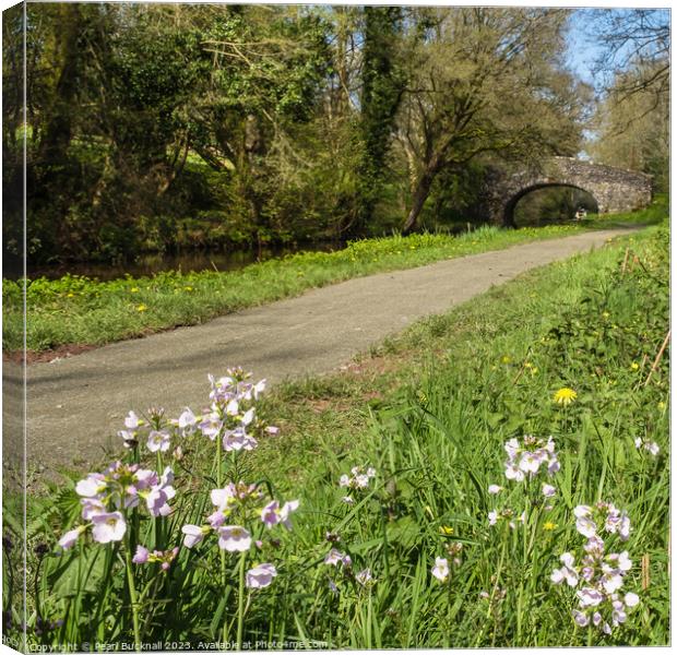 Wildflowers by Monmouthshire and Brecon Canal Canvas Print by Pearl Bucknall