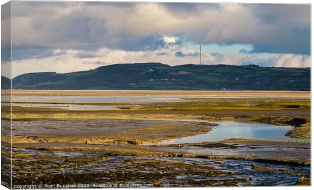 Tidal Mudflats Red Wharf Bay Anglesey Canvas Print by Pearl Bucknall