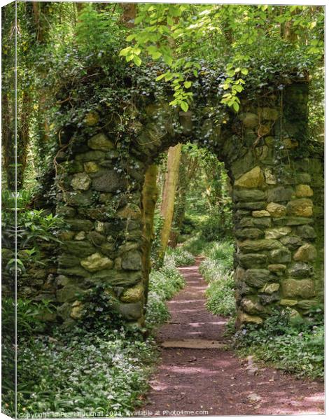 Woodland Path Through a Stone Arch Canvas Print by Pearl Bucknall