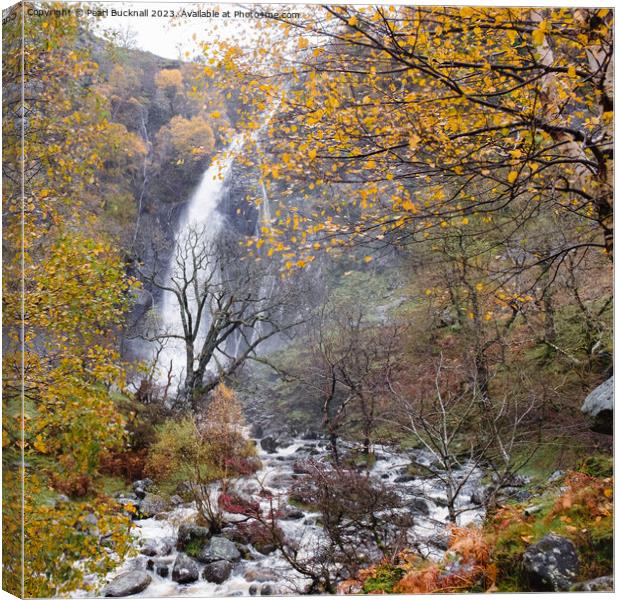 Aber Falls or Rhaeadr Fawr Waterfall in Autumn Canvas Print by Pearl Bucknall