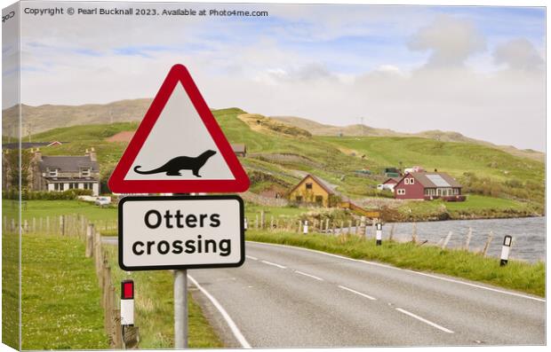 Otters Crossing Sign on Shetland Islands Canvas Print by Pearl Bucknall