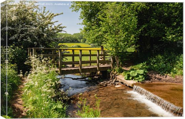 A Country Walk in English Countryside Canvas Print by Pearl Bucknall