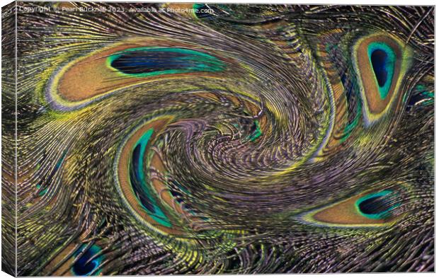 Peackock Eyes in a Twirl Abstract Canvas Print by Pearl Bucknall