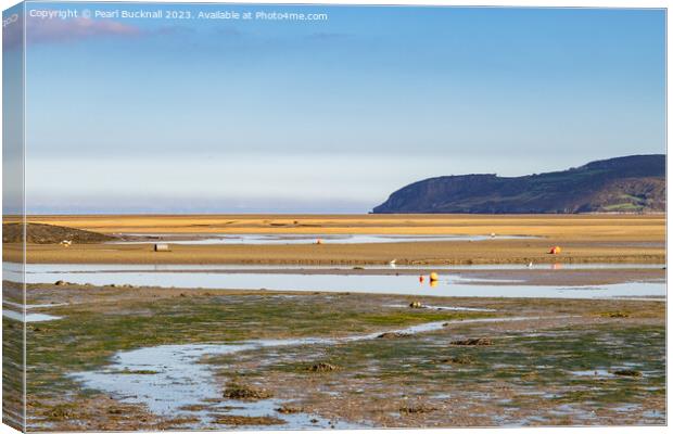 Tidal Mudflats Red Wharf Bay Anglesey Coast Canvas Print by Pearl Bucknall