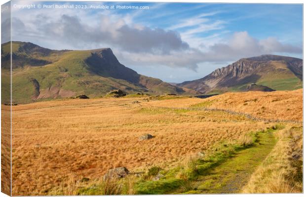 Autumn Colour on Rhyd Ddu Path in Snowdonia Canvas Print by Pearl Bucknall