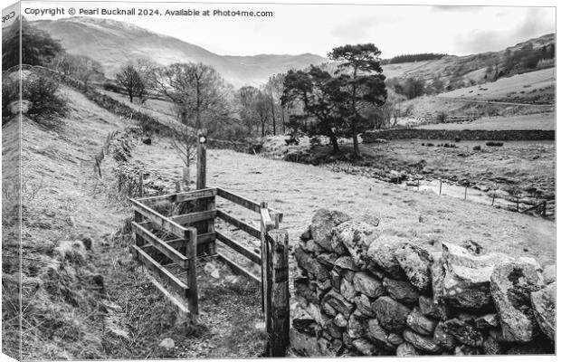 Walking in Lake District Cumbria black and white Canvas Print by Pearl Bucknall
