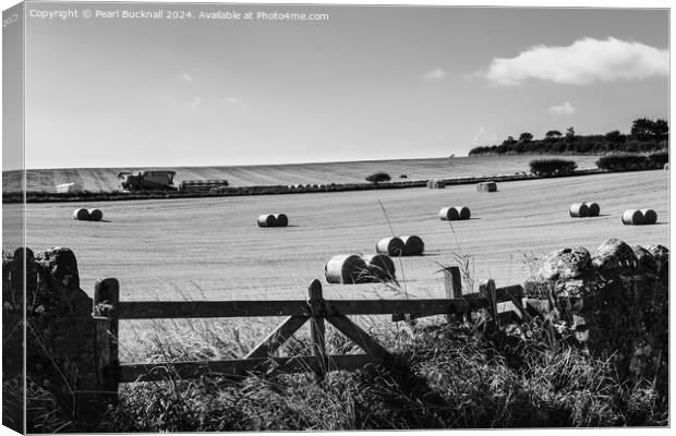 Harvest Country Scene in the Countryside St Abbs  Canvas Print by Pearl Bucknall