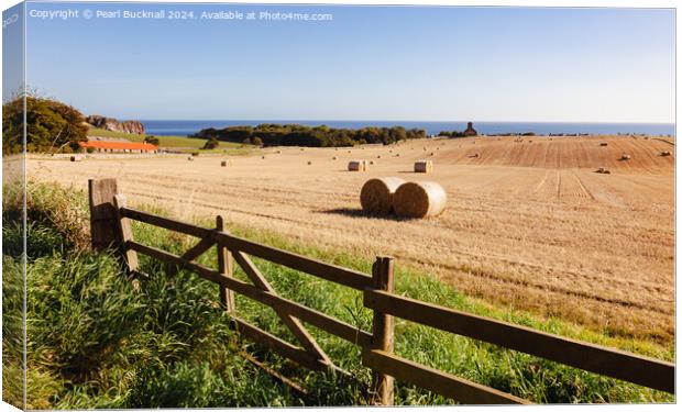 Harvest Country Scene in the Countryside St Abbs Canvas Print by Pearl Bucknall