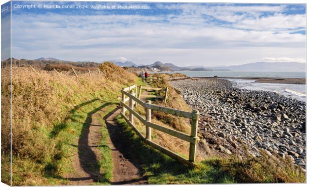 Wales Coastal Path Llyn Peninsula Welsh Coast Canvas Print by Pearl Bucknall