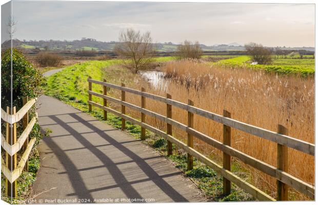 Lon Las Cefni Cycle Path Anglesey Canvas Print by Pearl Bucknall