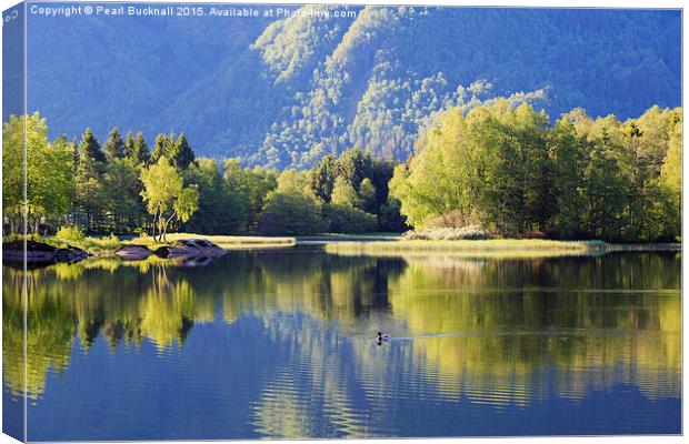 Tranquil Water in Lake Haukeland Norway Canvas Print by Pearl Bucknall