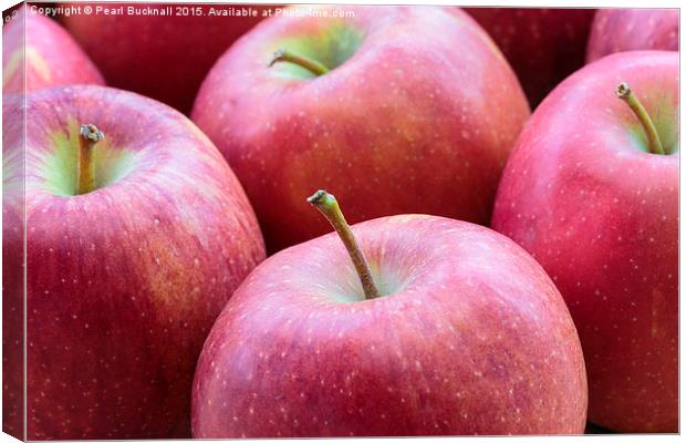 Red Apples Canvas Print by Pearl Bucknall
