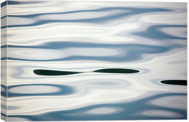 Water Surface Pattern Canvas Print by Pearl Bucknall