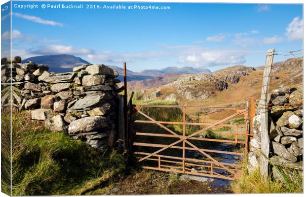 Rusty Farm Gate in Hills of Snowdonia Canvas Print by Pearl Bucknall