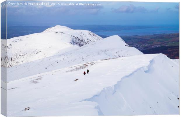 Winter Snow on Y Garn, Snowdonia Canvas Print by Pearl Bucknall