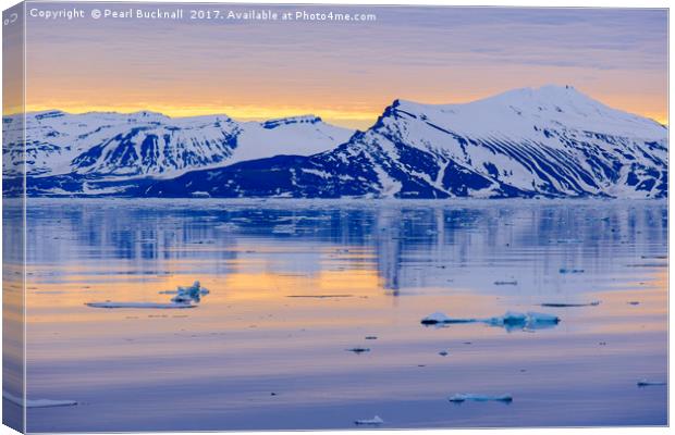 Arctic Summer on Spitsbergen Coast Canvas Print by Pearl Bucknall