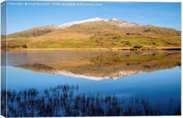 Snowdon reflection in Llyn y Gader Water Canvas Print by Pearl Bucknall