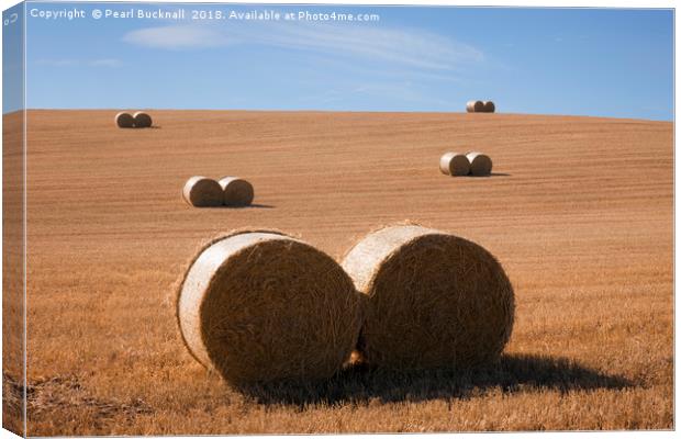 Farming Harvest in the Countryside Canvas Print by Pearl Bucknall