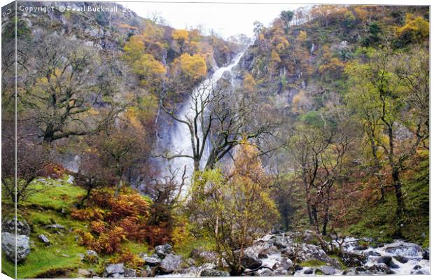 Aber Falls Waterfall in Autumn Snowdonia Canvas Print by Pearl Bucknall