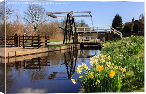 Llangollen Canal in Spring Canvas Print by Pearl Bucknall