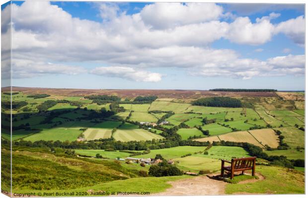 Esk Dale from Rosedale Moor in Yorkshire Canvas Print by Pearl Bucknall