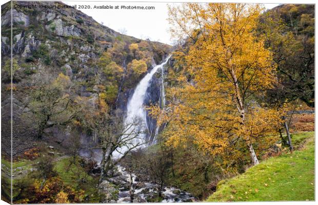Autumn at Aber Falls Waterfall Snowdonia Canvas Print by Pearl Bucknall