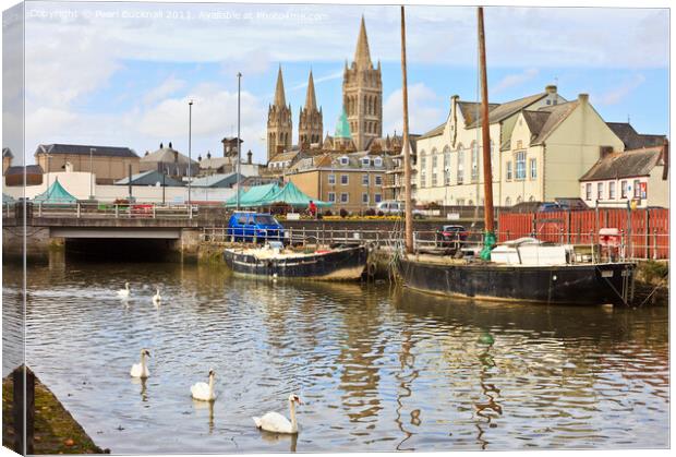 Swans and Cathedral Spires in Truro Canvas Print by Pearl Bucknall