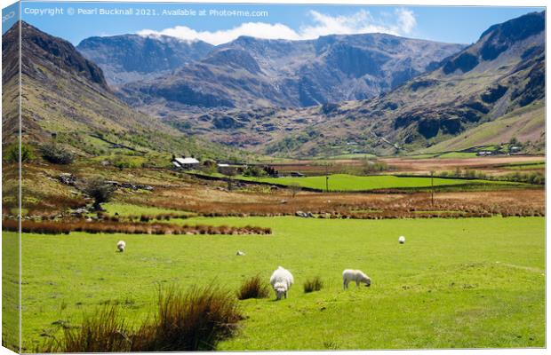 Nant Ffrancon Valley View to Glyders in Snowdonia Canvas Print by Pearl Bucknall