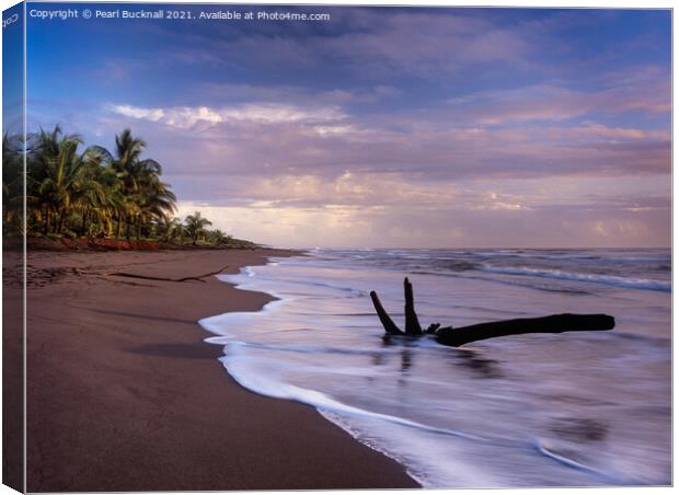 Tortuguero Beach at Sunrise Costa Rica Canvas Print by Pearl Bucknall