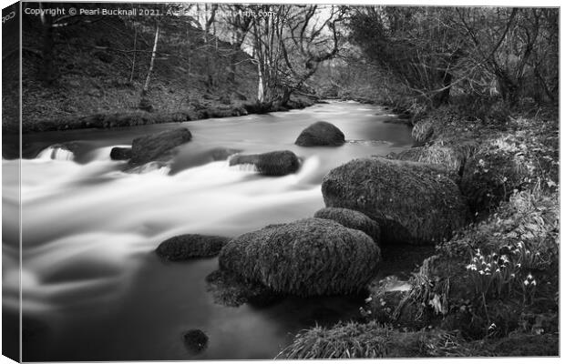Afon Dwyfor River in Winter Black and White Canvas Print by Pearl Bucknall