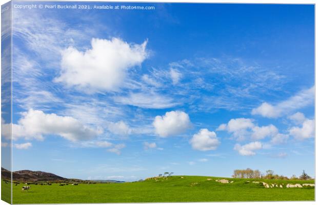 Big Blue sky over summer countryside Canvas Print by Pearl Bucknall