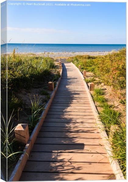 Pathway to a beach Canvas Print by Pearl Bucknall