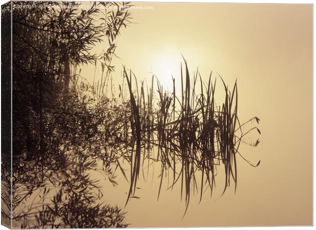 Waters Edge at Sunrise Tranquillity Canvas Print by Pearl Bucknall