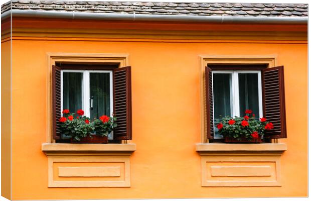 Two Shuttered Windows Architecture Canvas Print by Pearl Bucknall