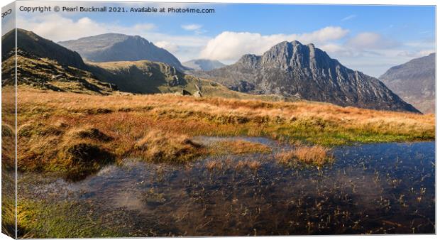 Snowdonia Uplands and Tryfan Wales Canvas Print by Pearl Bucknall