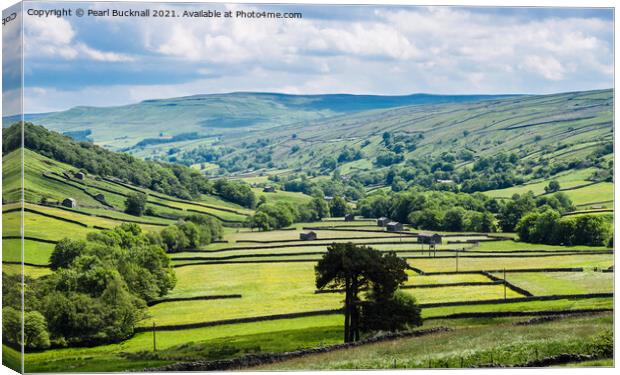 Barns and Walls in Upper Swaledale Yorkshire Dales Canvas Print by Pearl Bucknall