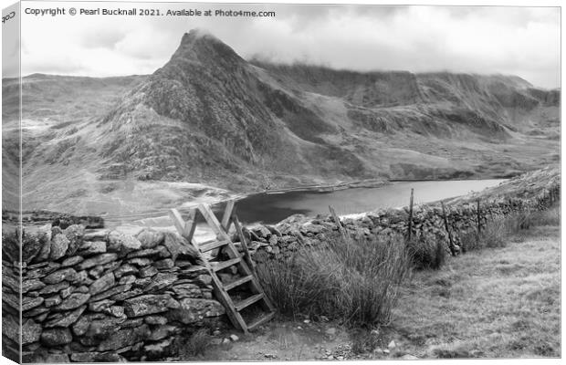 Path to Ogwen Snowdonia Wales in Monochrome Canvas Print by Pearl Bucknall
