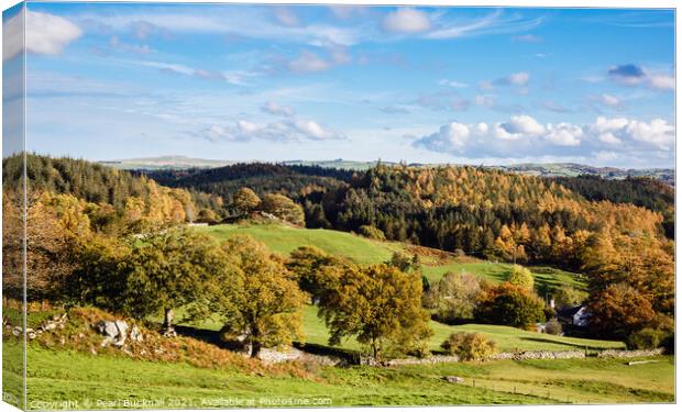 Snowdonia Countryside in Autumn  Canvas Print by Pearl Bucknall