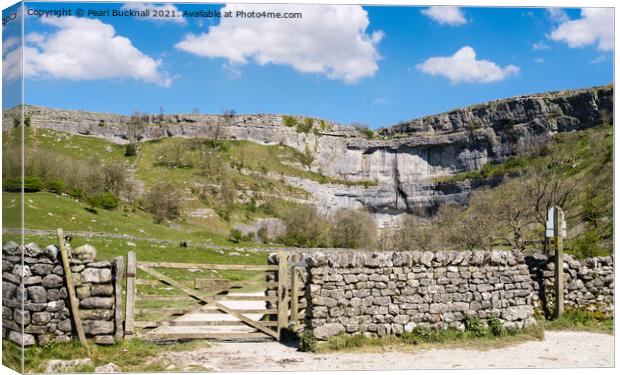 Pennine Way to Malham Cove in Yorkshire Dales Canvas Print by Pearl Bucknall