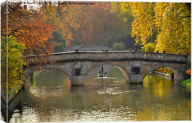 Punting on the Cam Canvas Print by David Laws
