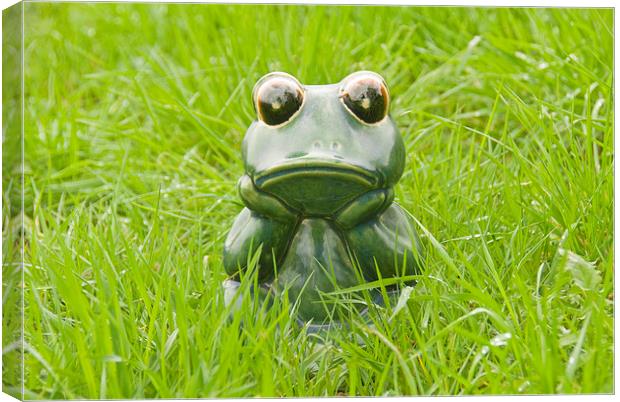 Frog in the grass Canvas Print by Bernd Tschakert