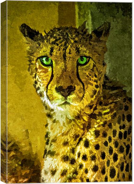 Portrait of a cheetah, Painting effect Canvas Print by Bernd Tschakert