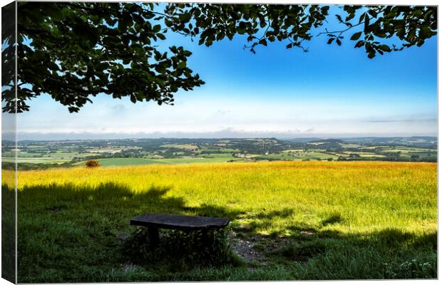 cranborne chase view Canvas Print by Kevin Britland
