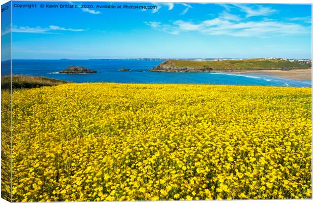 wild flowers cornwall Canvas Print by Kevin Britland