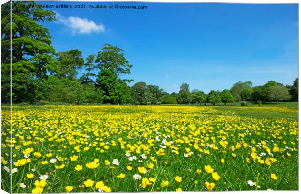 wild flower meadow Canvas Print by Kevin Britland